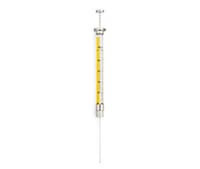 SYRINGE 100 UL PTFE RN BEVEL TIP