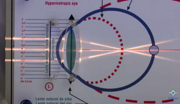 Banco Óptico Linear, luz Policromática e Monocromática - EQ045G - Imagem 4