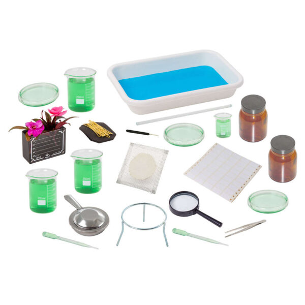 Conjunto reino plantae - SCN-B004