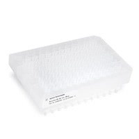 BOND ELUT 96 C8 1ML 25MG