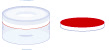 TAMPA PRESSAO SNAP RING N11 C/AB.SEP.SIL/PTFE C/100