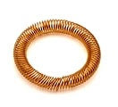 CANTED COIL SPRING