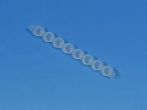 8WELL STRIP SEALING CAPS C/30PC